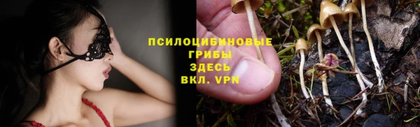 соль курить ск Дмитров