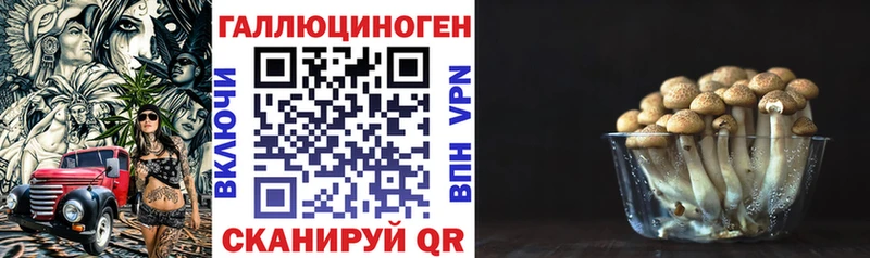 дарнет шоп Себеж Псилоцибиновые грибы Psilocybine cubensis